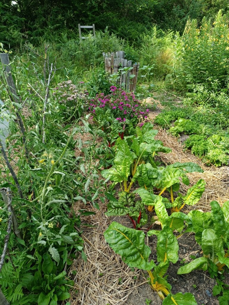 Lire la suite à propos de l’article Microferme Agriculturelle