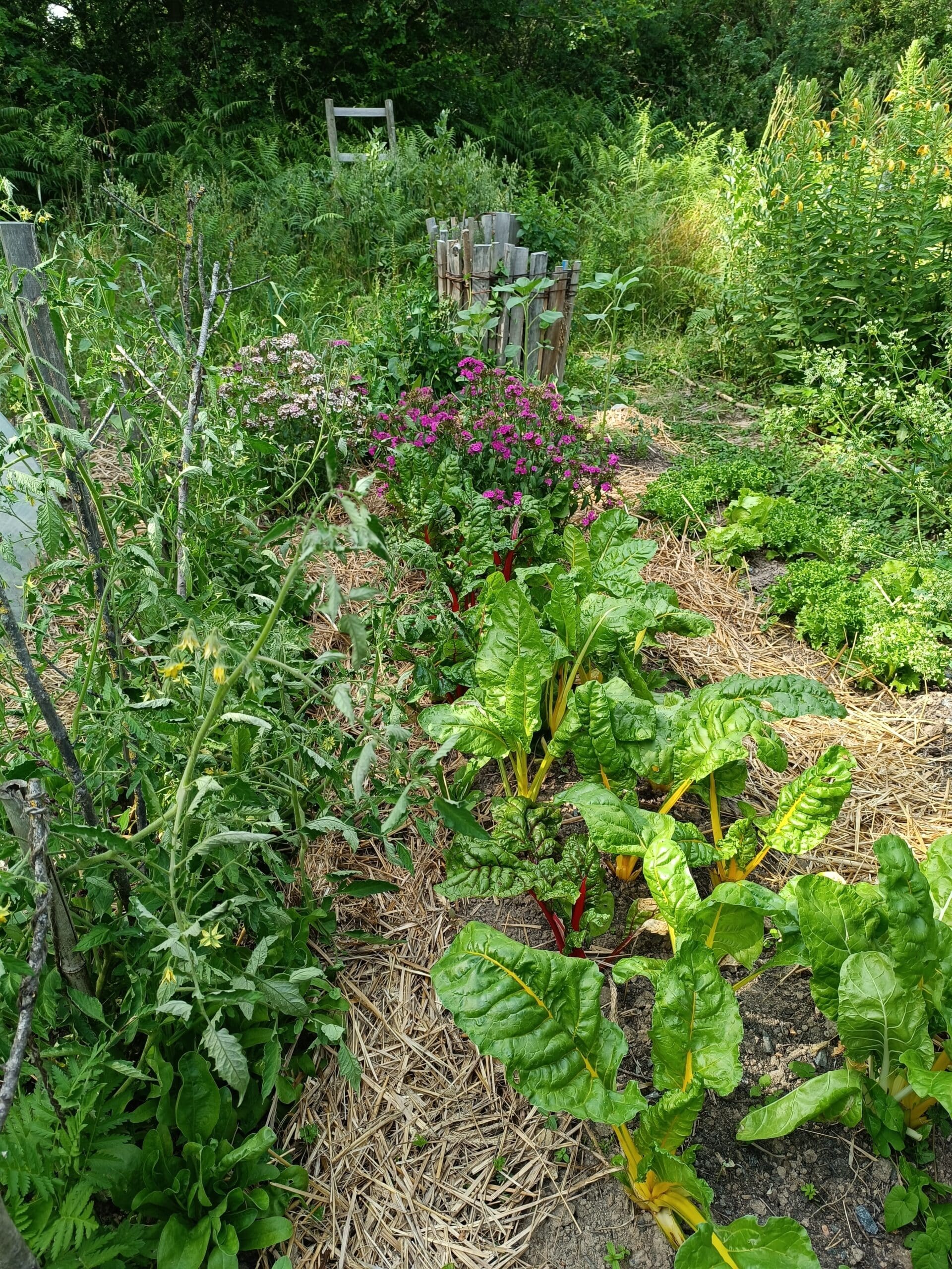 Microferme Agriculturelle